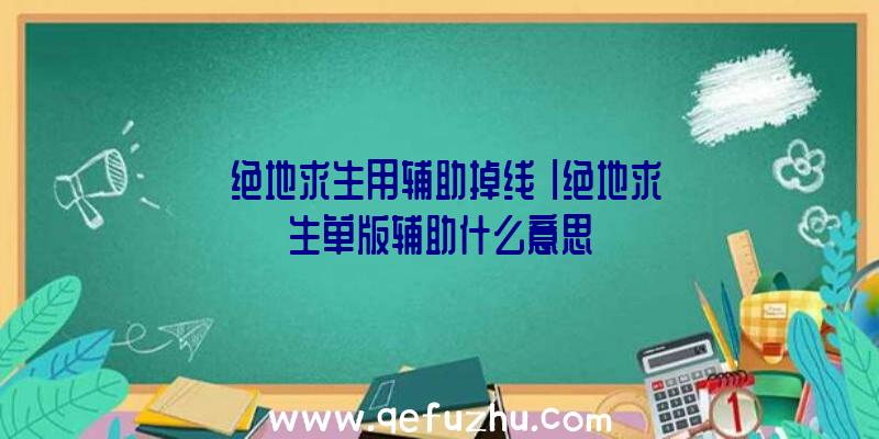 「绝地求生用辅助掉线」|绝地求生单版辅助什么意思